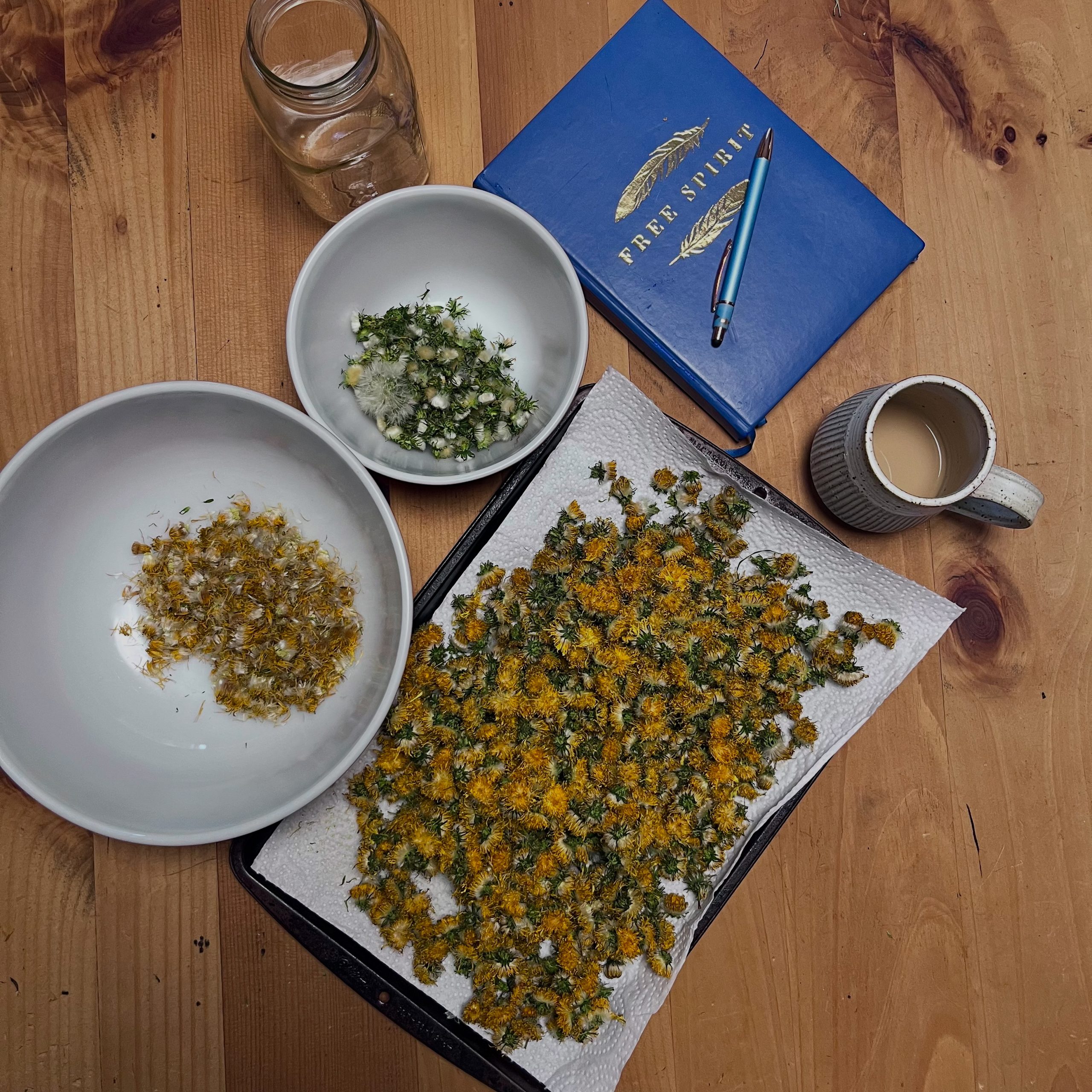 An overhead view of harvested dried dandelion flowers spread out to dry on a tray beside bowls of botanicals, a journal, and a cup of tea on a wooden table.